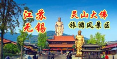骚妇色色视频江苏无锡灵山大佛旅游风景区